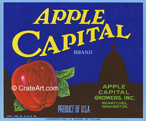 APPLE CAPITAL (A) #1