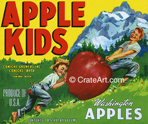 APPLE KIDS (A)