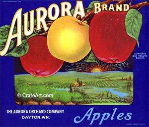 AURORA (A) #1