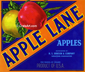 APPLE LANE (A) #2