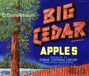 BIG CEDAR (A) #1