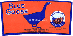 BLUE GOOSE (A) #5