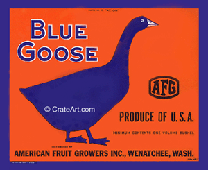 BLUE GOOSE (A) #4