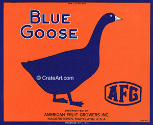 BLUE GOOSE (A) #1