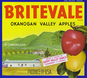 BRITEVALE (A)