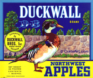 DUCKWALL (A) #1