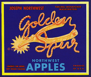 GOLDEN SPUR (A)