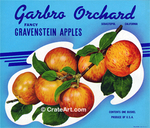 GARBO ORCHARD (A)