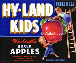 HY-LAND KIDS (A) #1