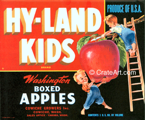 HY-LAND KIDS (A) #2