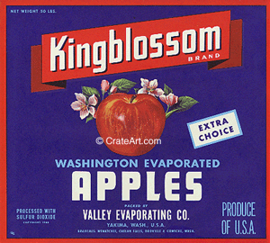 KINGBLOSSOM (A) #2