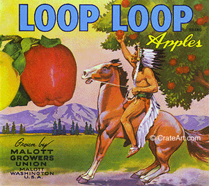 LOOP LOOP (A)