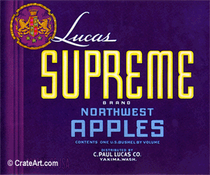 LUCAS SUPREME (A) #2