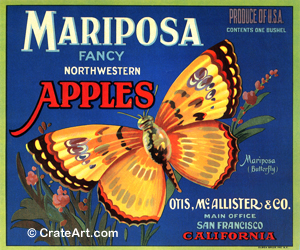 MARIPOSA (A) #2