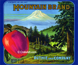 MOUNTAIN BRAND (A)