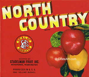 NORTH COUNTRY (A) #2