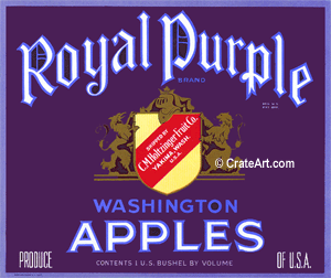 ROYAL PURPLE (A)