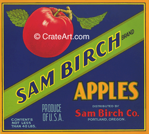 SAM BIRCH (A) #1