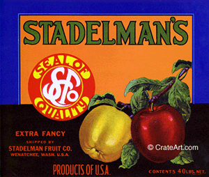 STADELMAN'S (A) #1