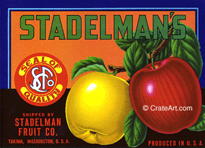 STADELMAN'S (A) #2