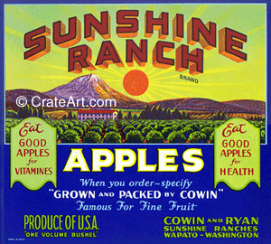 SUNSHINE RANCH (A)