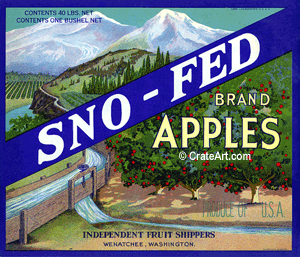 SNO-FED (A)