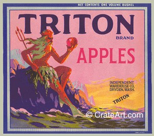 TRITON (A) #2