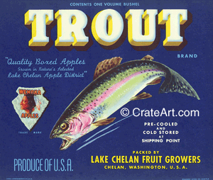 TROUT (A) #1