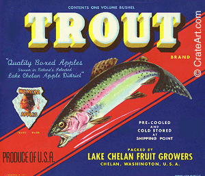 TROUT (A) #2