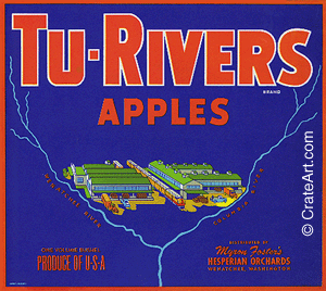 TU-RIVERS (A) #1