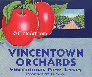 VINCENTOWN ORCHARDS (A)