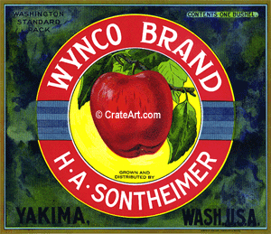 WYNCO BRAND (A)