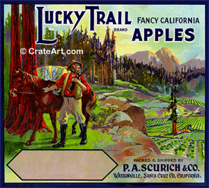 LUCKY TRAIL (A) #1