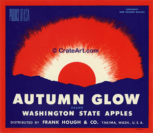 AUTUMN GLOW (A)