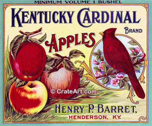 KENTUCKY CARDINAL (A)