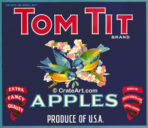 TOM TIT (A)