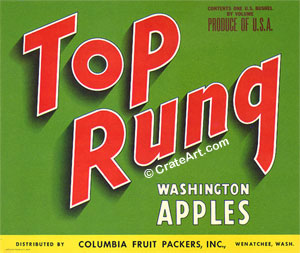 TOP RUNG (A) #2