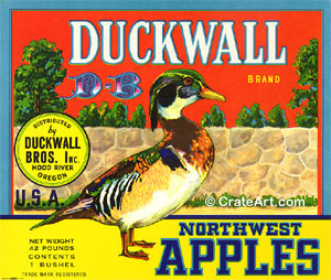 DUCKWALL (A) #2