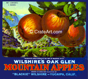 WILSHIRE OAK GLEN (A)