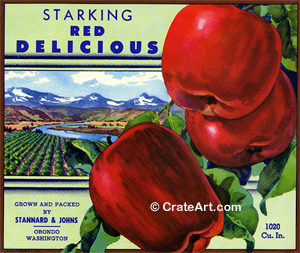 STARKING RED DELICIOUS (A)