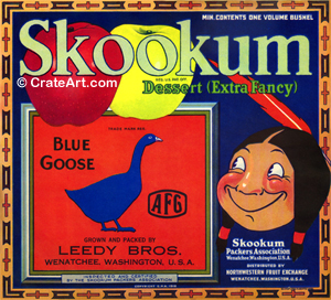 SKOOKUM (A) #01