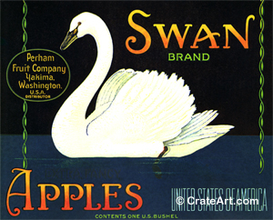 SWAN (A)