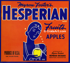 HESPERIAN (A) #2