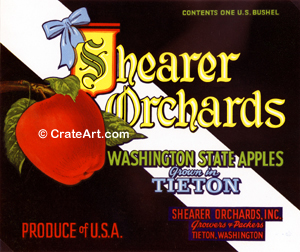 SHEARER ORCHARDS (A) #3