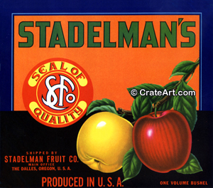 STADELMAN'S (A) #3