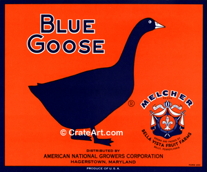 BLUE GOOSE (A) #7