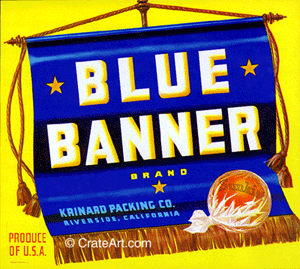 BLUE BANNER (O)