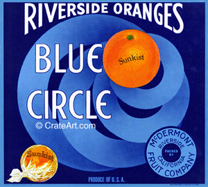 BLUE CIRCLE (O)