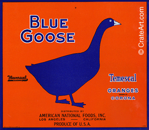 BLUE GOOSE (O) #4