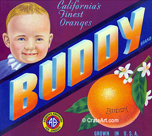 BUDDY (O)